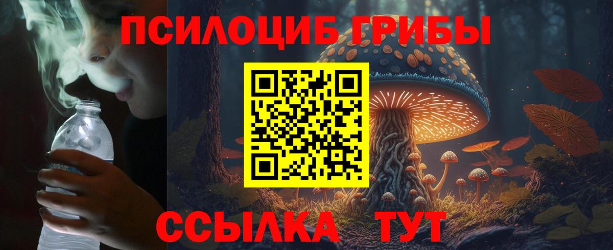 Дмитров  Галлюциногенные грибы мухоморы  Вход с VPN 